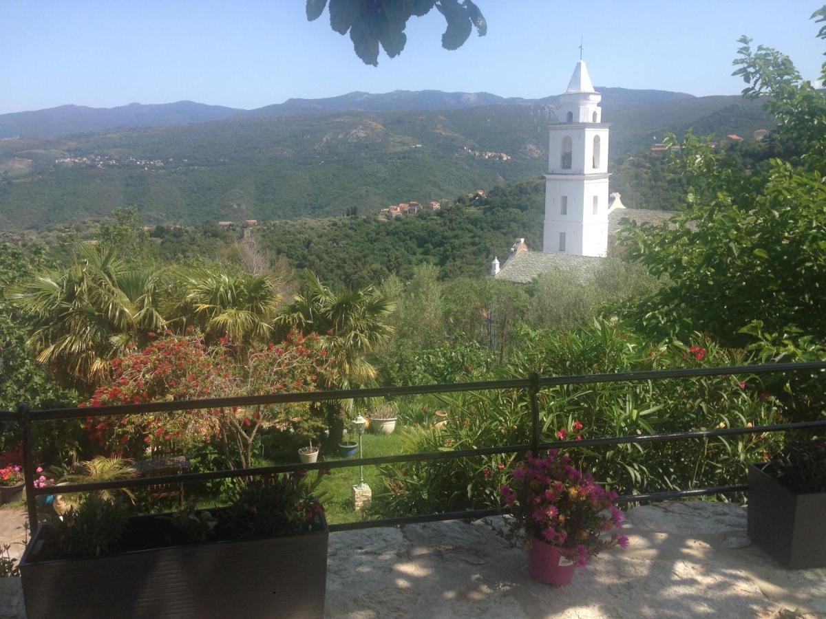 Bed and Breakfast Casa Di Emma Santo-Pietro-di-Tenda Экстерьер фото